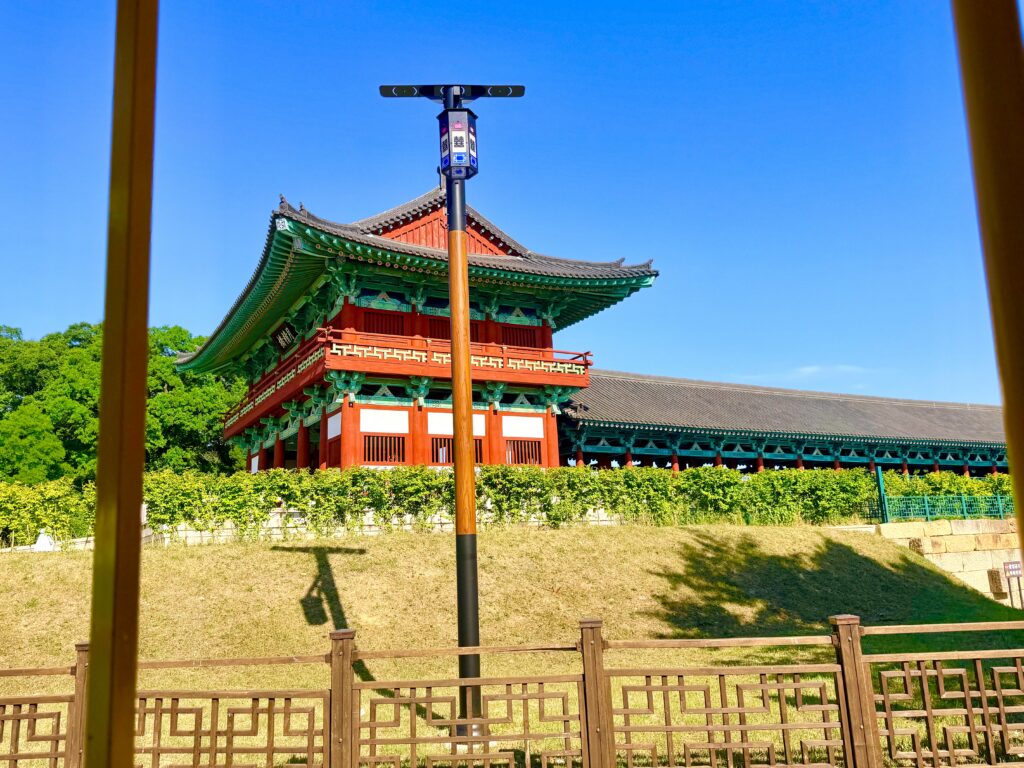 경주 비단벌레차 코스에서 본 경주 유적지
