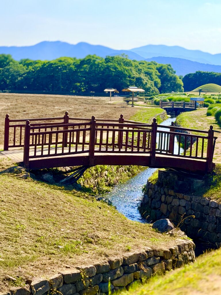 경주 비단벌레차 코스 산책로와 다리
