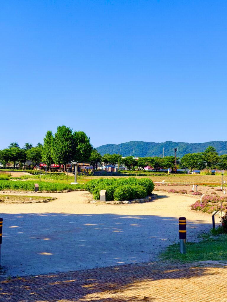 경주 비단벌레차 운행 코스 주변 풍경