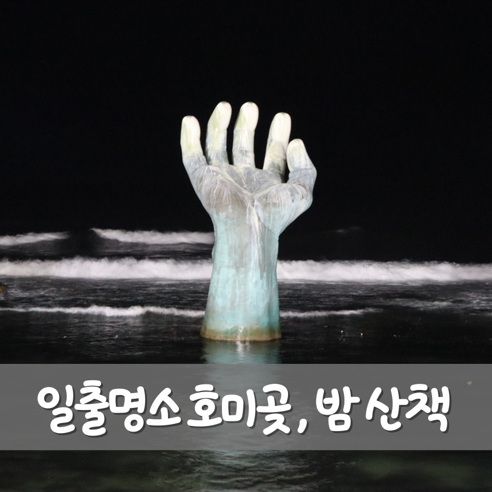 포항 호미곶 밤 산책 후기｜일출명소에서 즐긴 조용한 저녁 여행