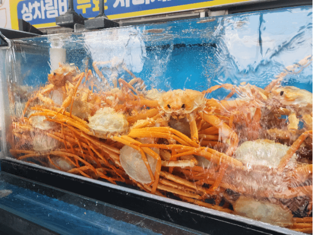 박달대게와 홍게가 있는 수조