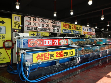 박달대게와 홍게가 있는 수조