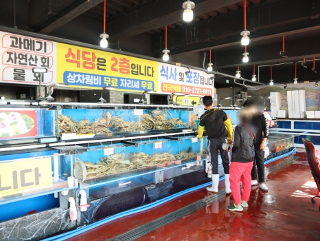 박달대게와 홍게가 있는 수조